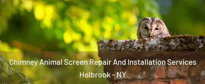  Chimney Animal Screen Repair And Installation Services Holbrook - NY
