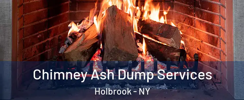  Chimney Ash Dump Services Holbrook - NY