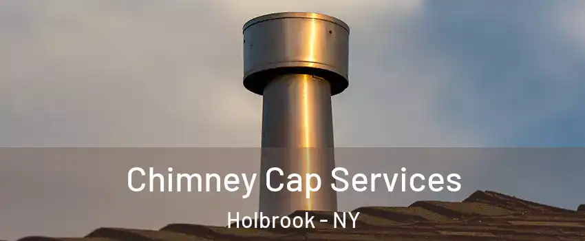  Chimney Cap Services Holbrook - NY