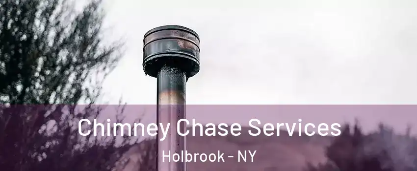  Chimney Chase Services Holbrook - NY