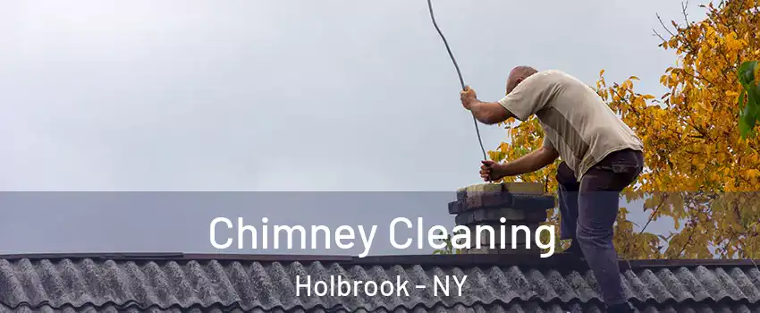  Chimney Cleaning Holbrook - NY