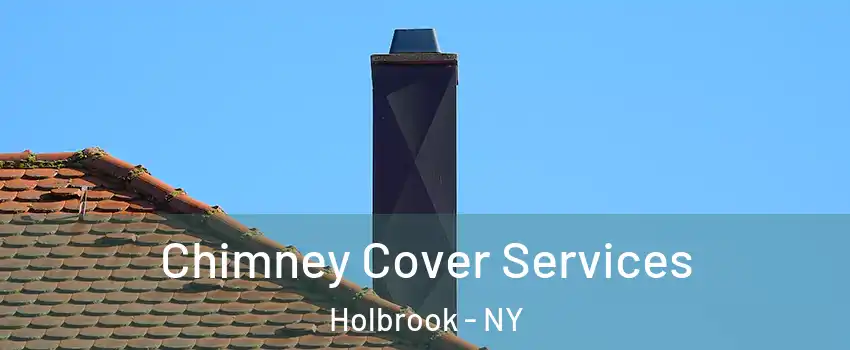  Chimney Cover Services Holbrook - NY