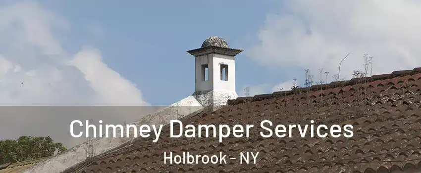  Chimney Damper Services Holbrook - NY