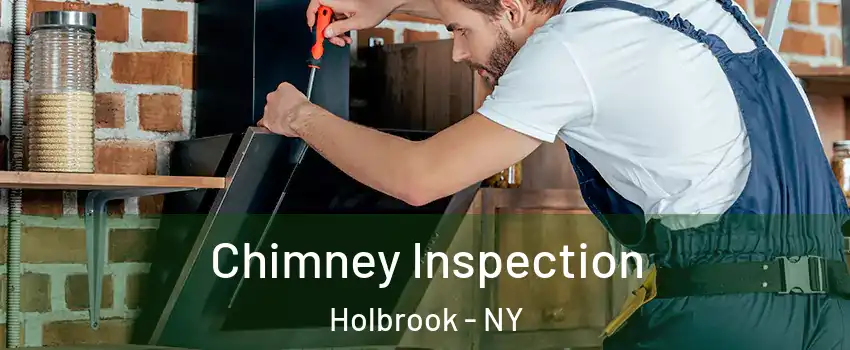  Chimney Inspection Holbrook - NY