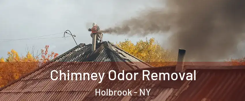  Chimney Odor Removal Holbrook - NY