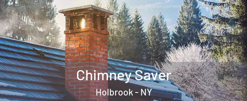  Chimney Saver Holbrook - NY