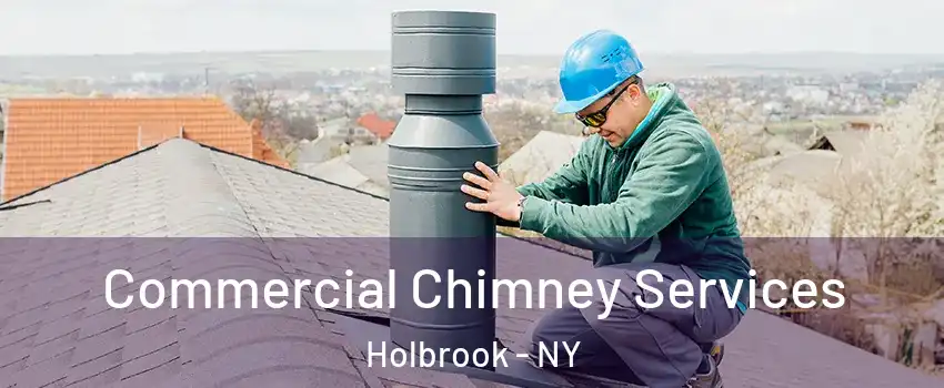  Commercial Chimney Services Holbrook - NY