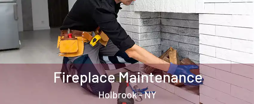  Fireplace Maintenance Holbrook - NY