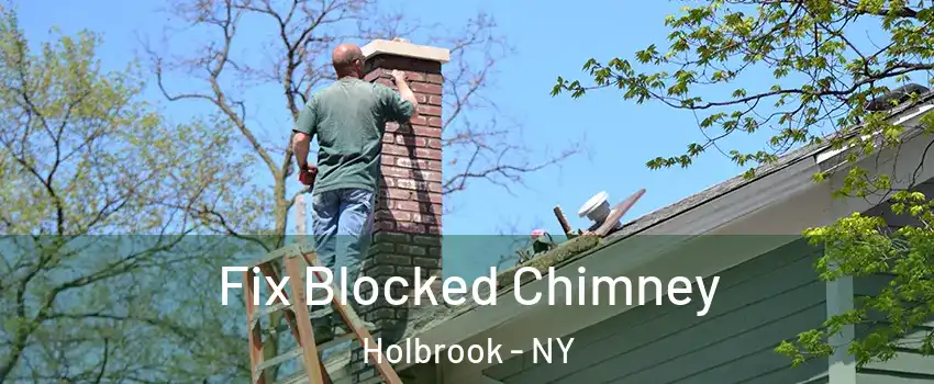  Fix Blocked Chimney Holbrook - NY