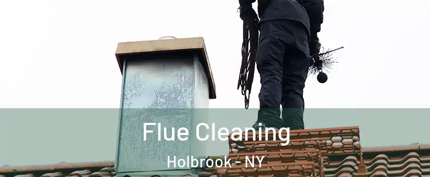  Flue Cleaning Holbrook - NY