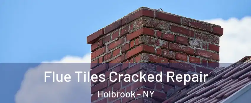  Flue Tiles Cracked Repair Holbrook - NY