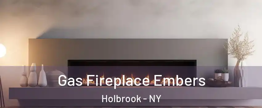  Gas Fireplace Embers Holbrook - NY