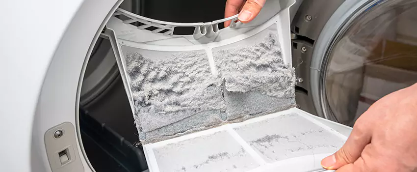 Best Dryer Lint Removal Company in Holbrook, New York