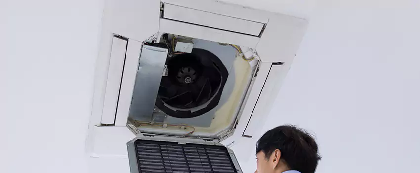 Benefits of Professional Air Duct Cleaning in Holbrook, New York